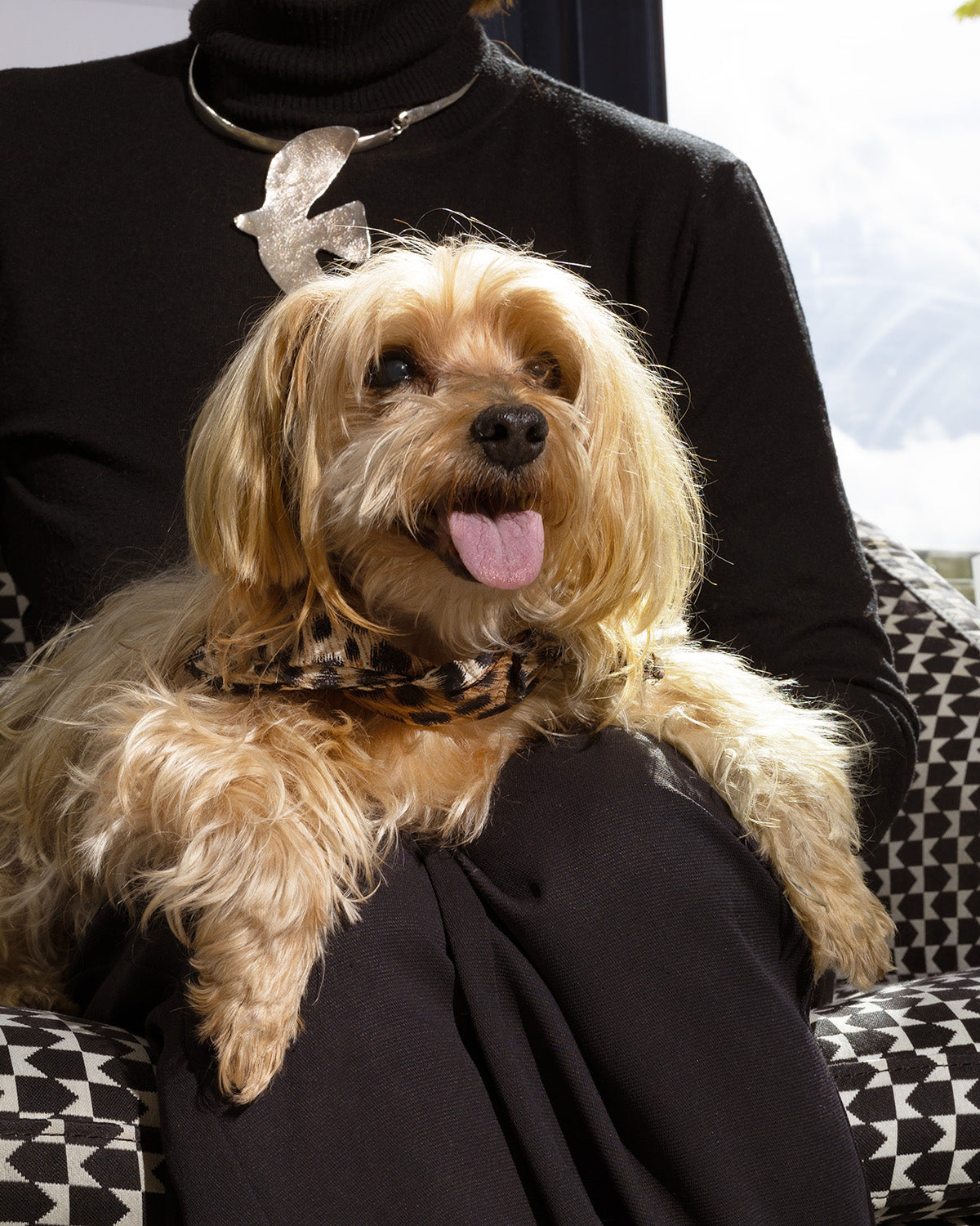 Les céréales, entre mythe et réalité ?