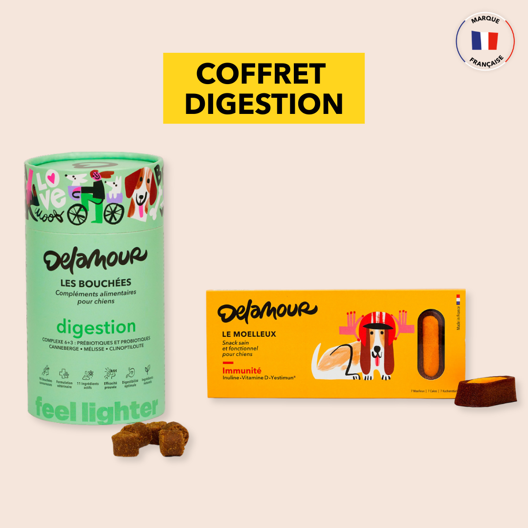 Coffret Digestion