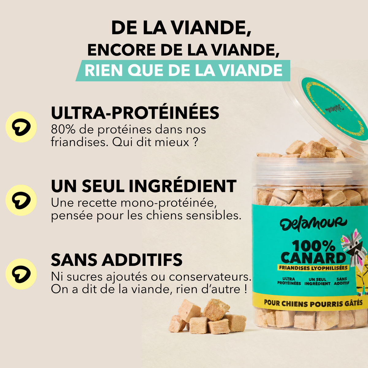 Coffret Canard