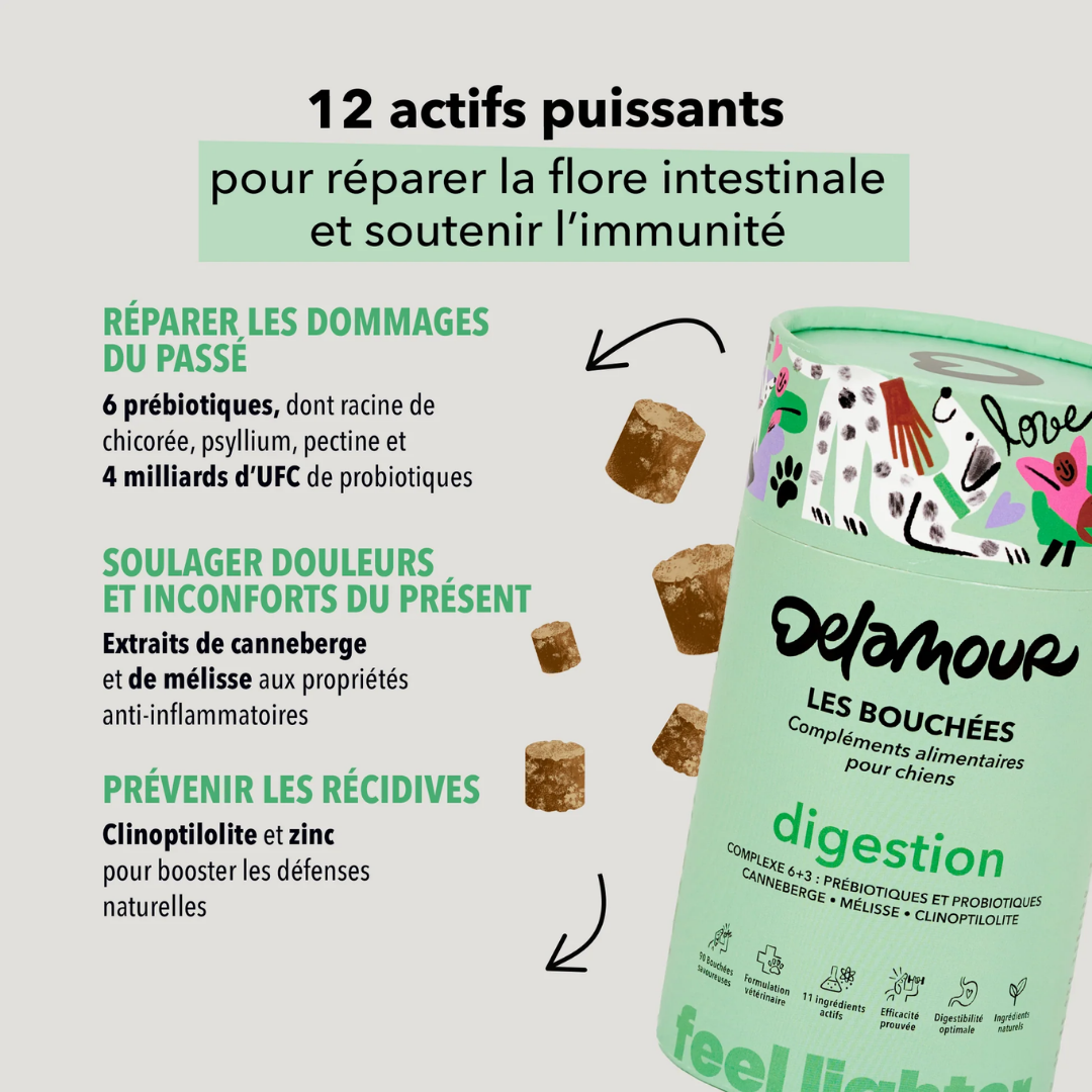 Coffret Digestion