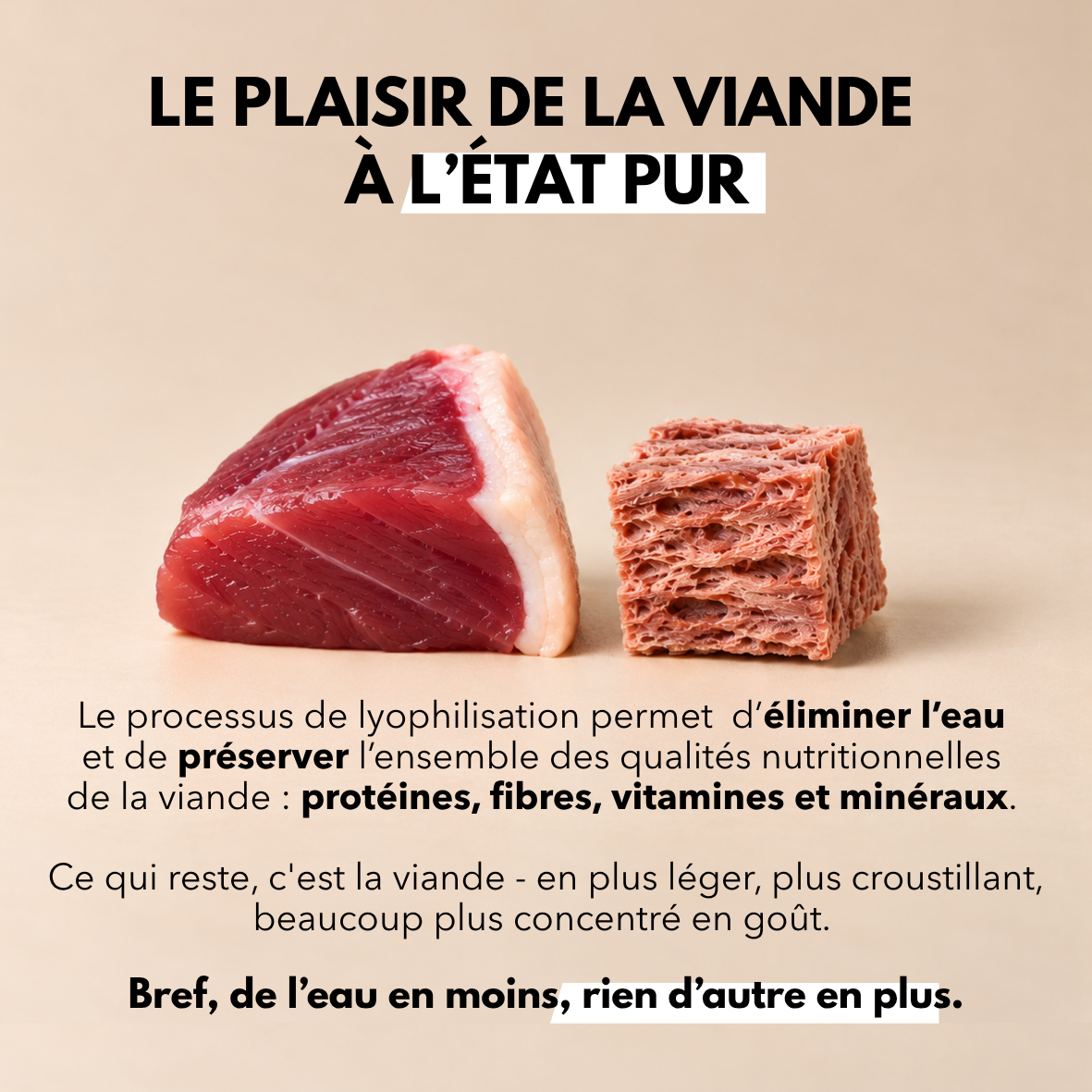 Les Lyophilisées - Coffret découverte