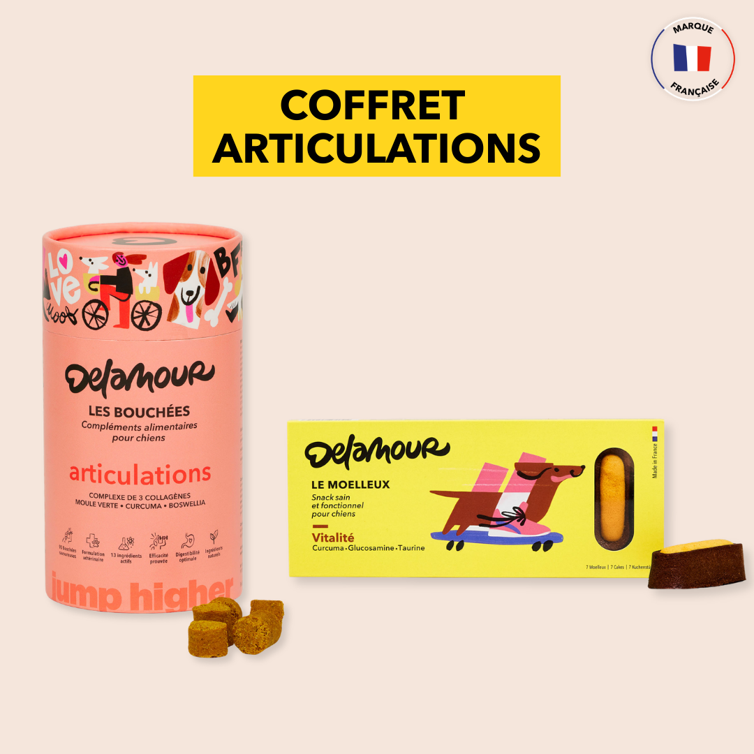 Coffret Articulations