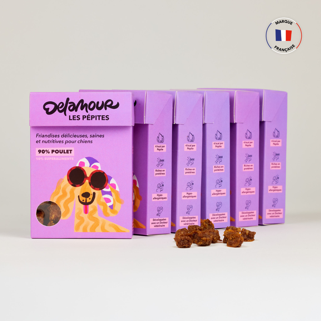 Les Pépites - Poulet