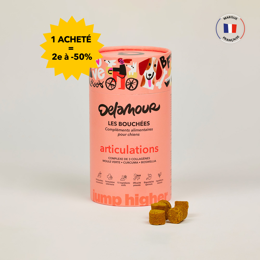 Les Bouchées - Articulations