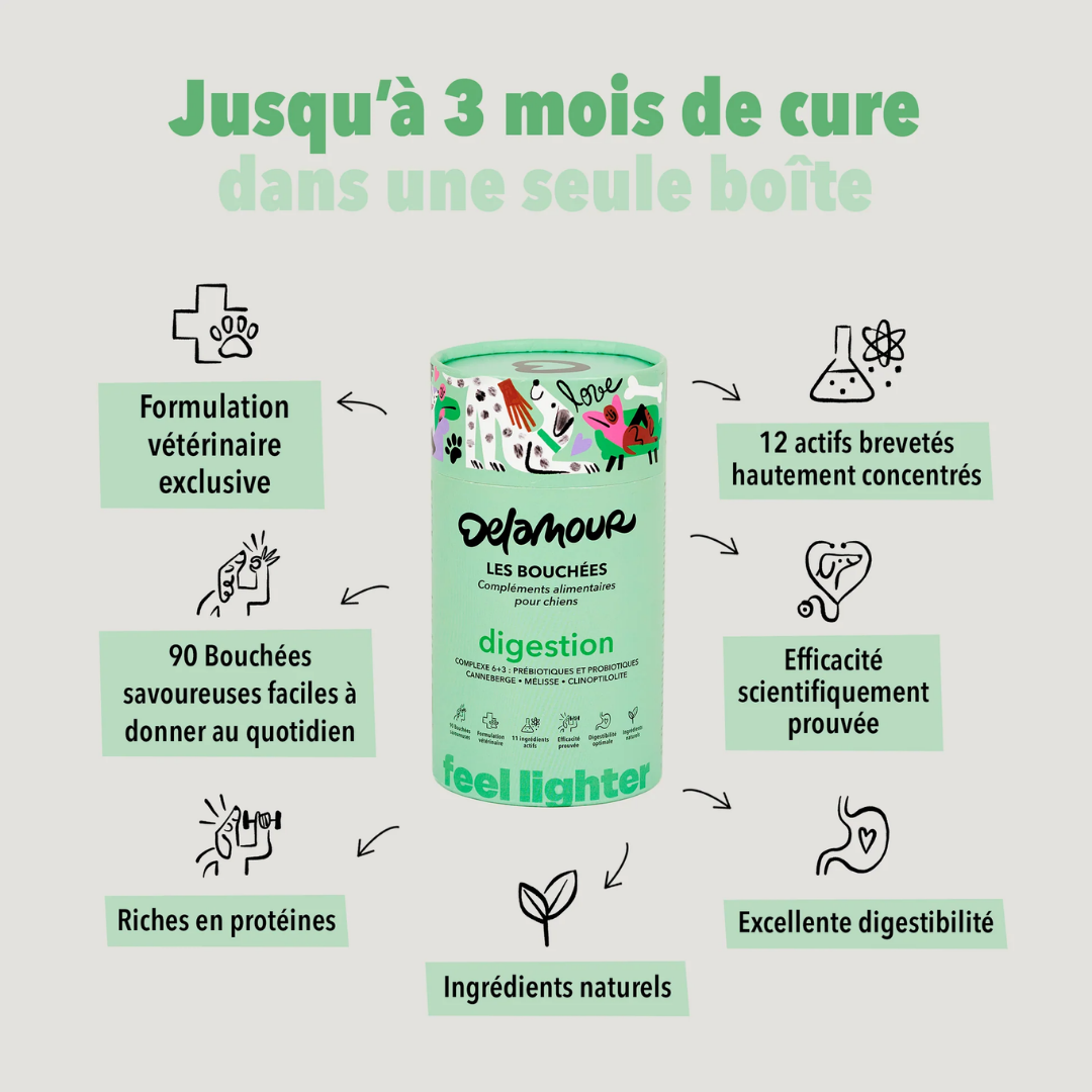 Coffret Chiot