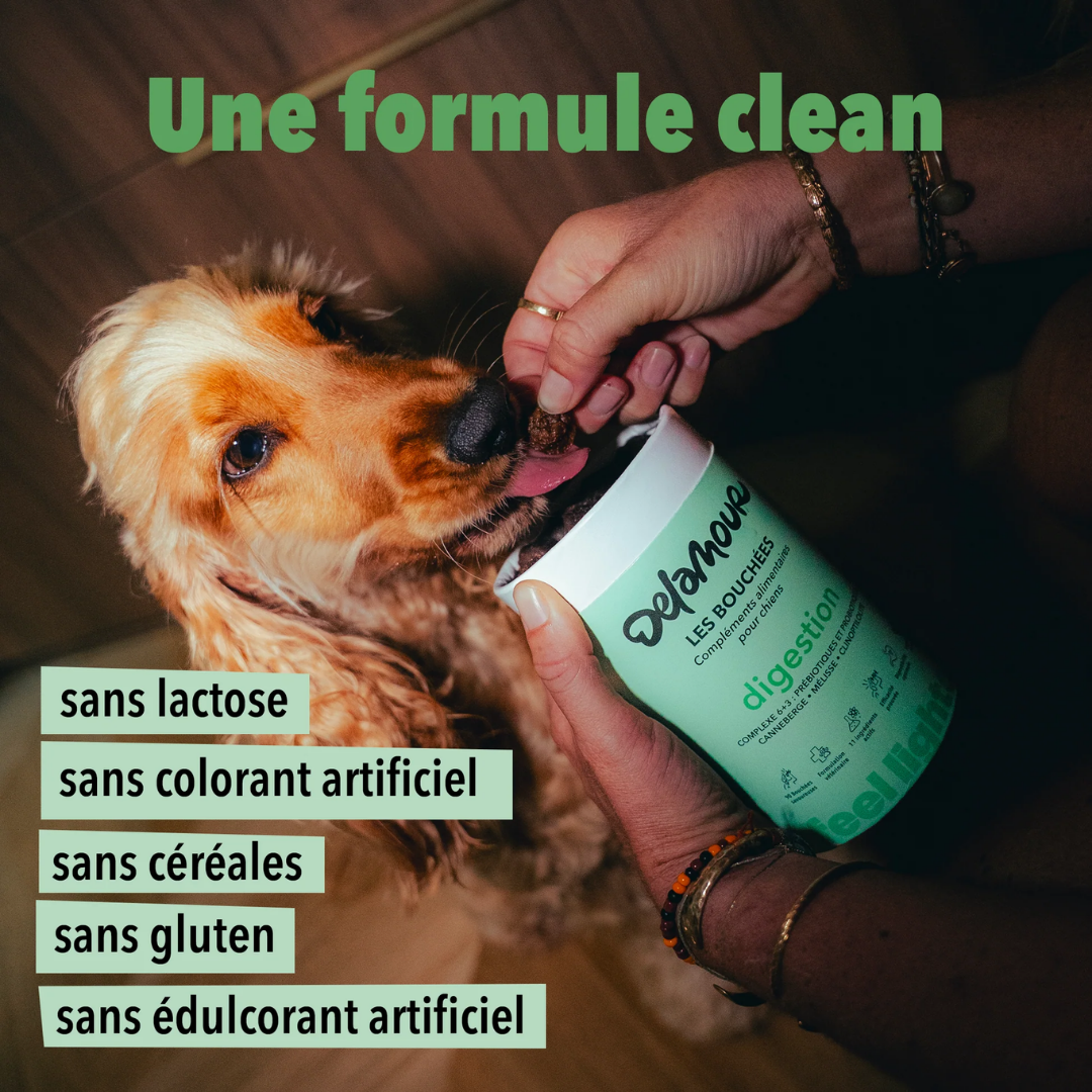 Coffret Chiot