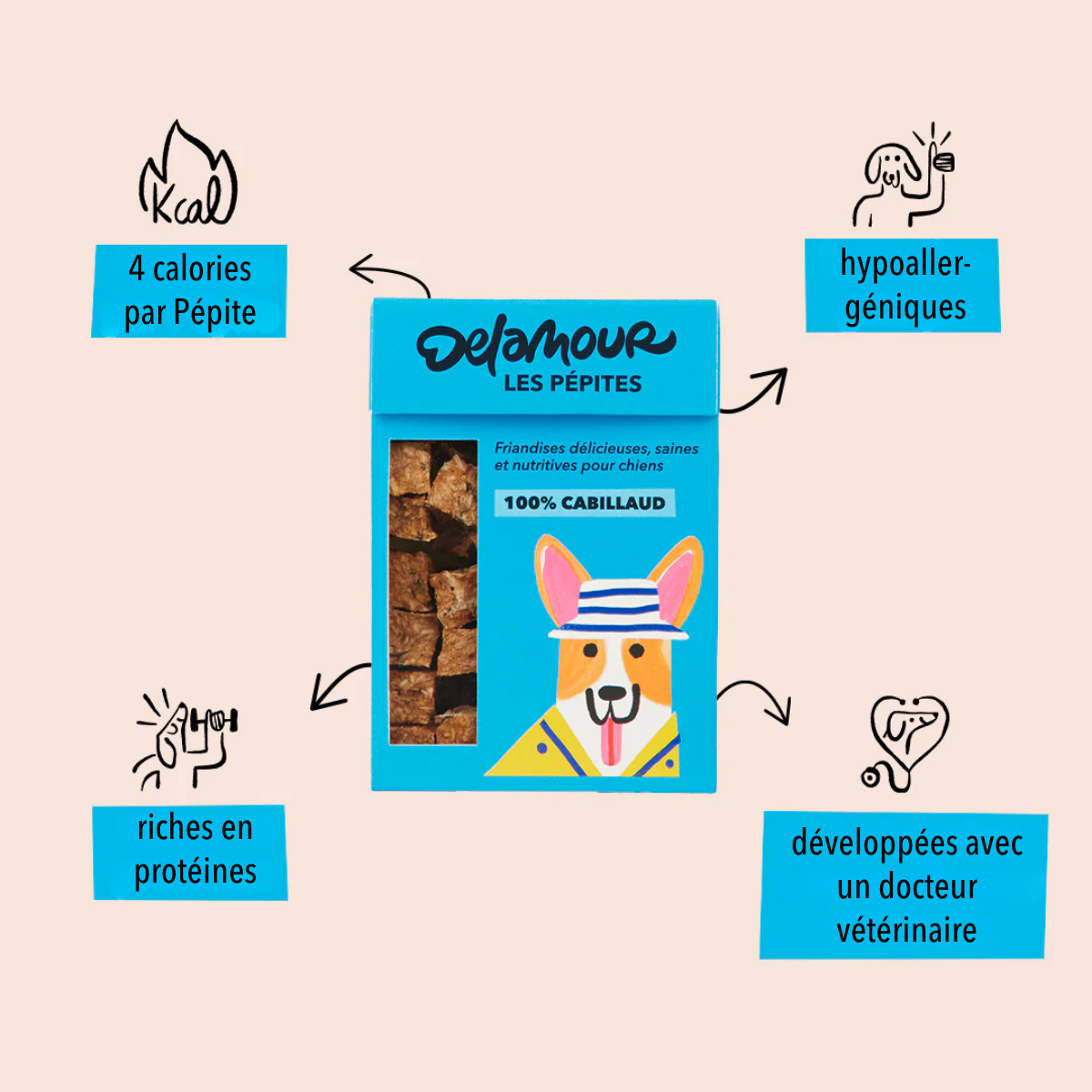 Coffret Chiot