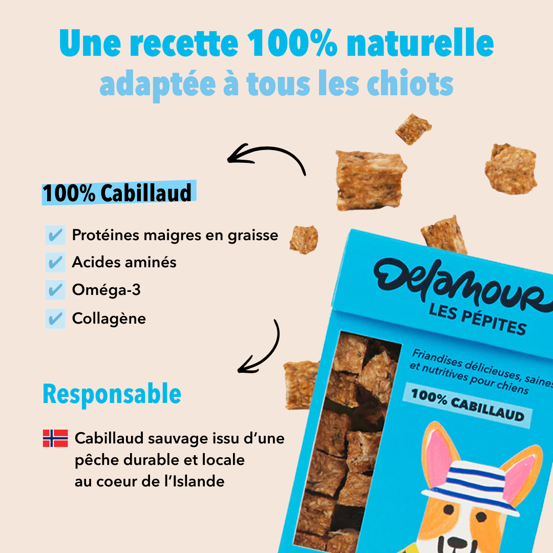 Coffret Chiot