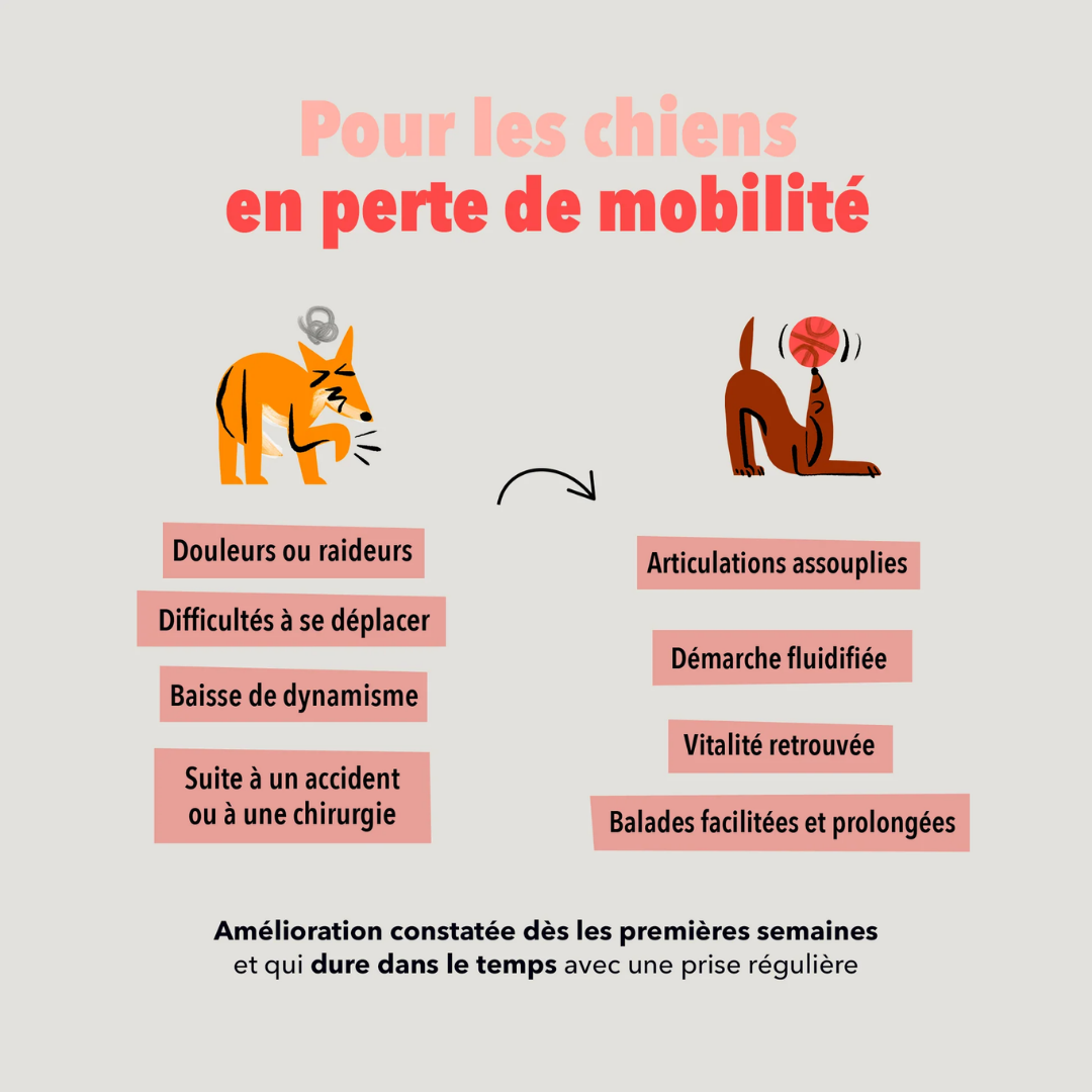 Coffret Articulations