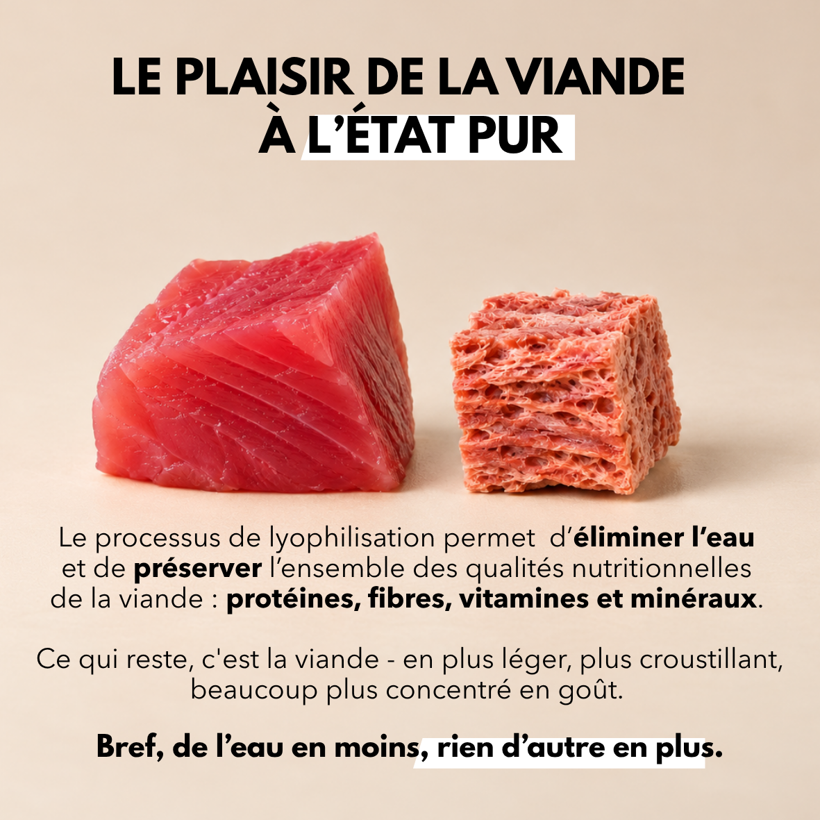 Les Lyophilisées - Coffret découverte