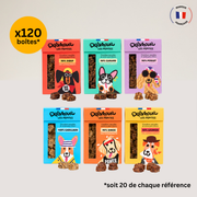 Pack Pépites Mix - 120 boîtes