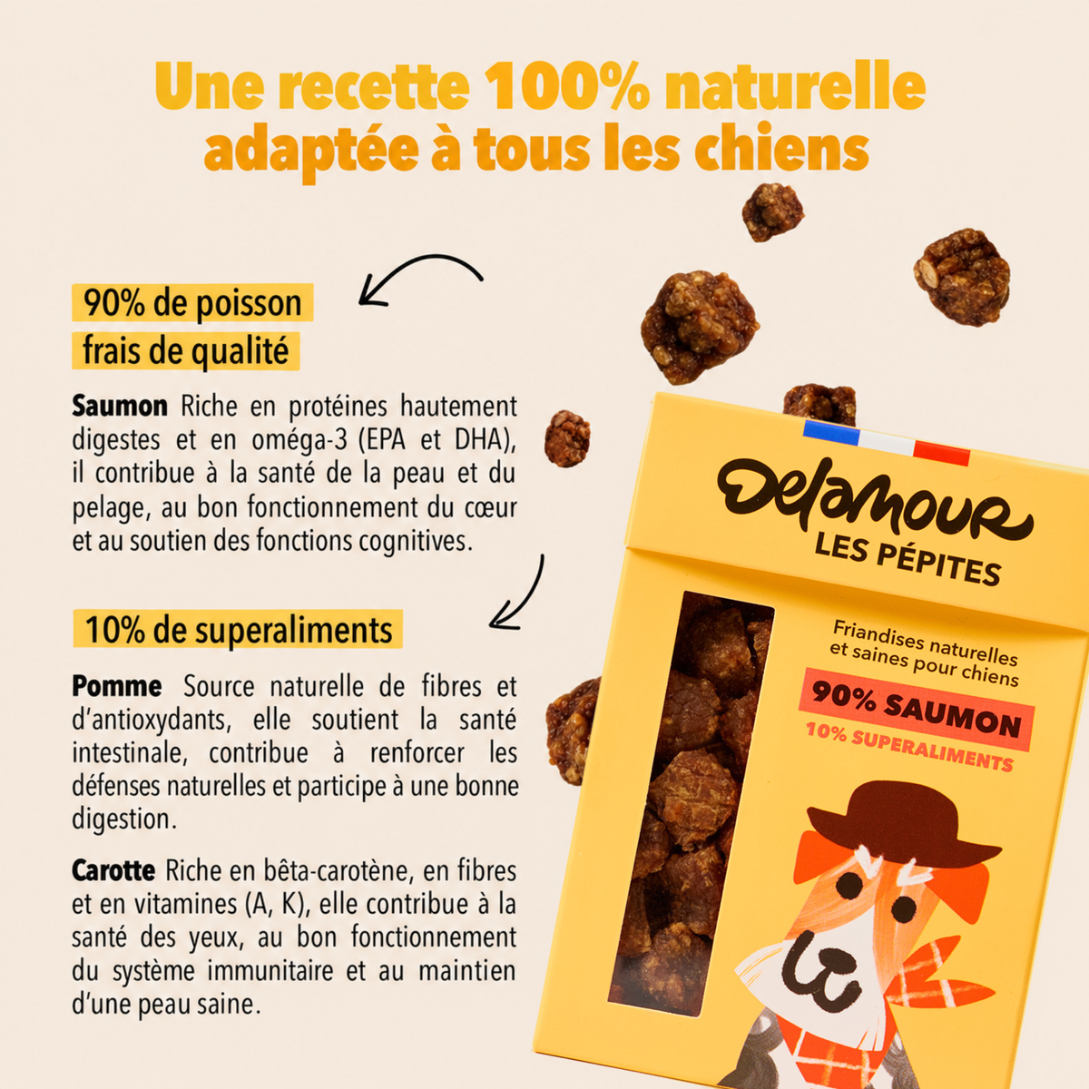 Coffret Poisson - Thon, Saumon, Cabillaud
