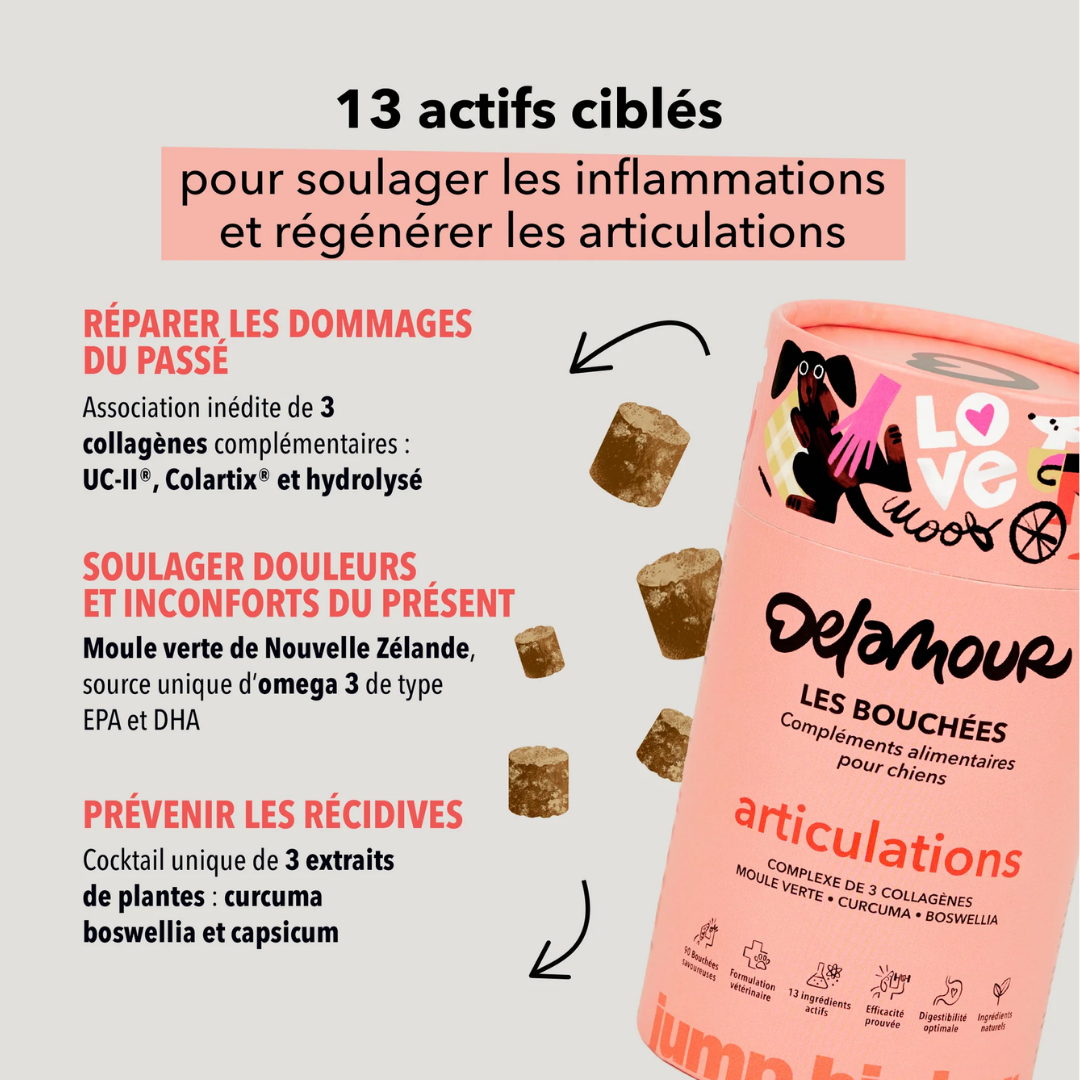 Coffret Articulations