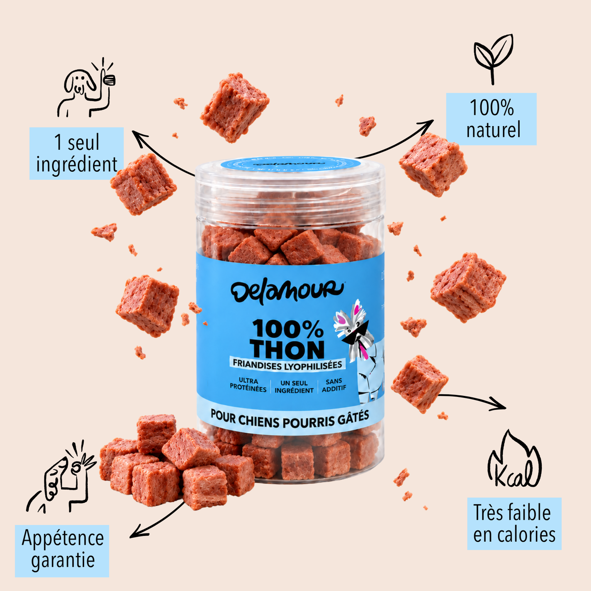 Les Lyophilisées - Thon