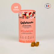 Compléments alimentaires Articulations - Les Bouchées