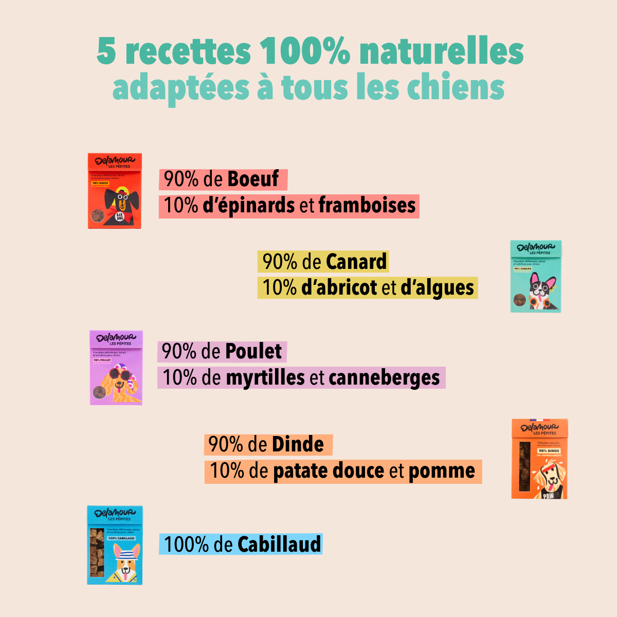 Les Pépites - Coffret découverte