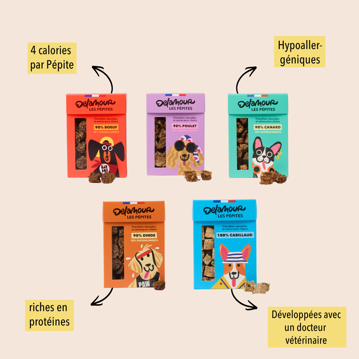 Les Pépites - Coffret découverte