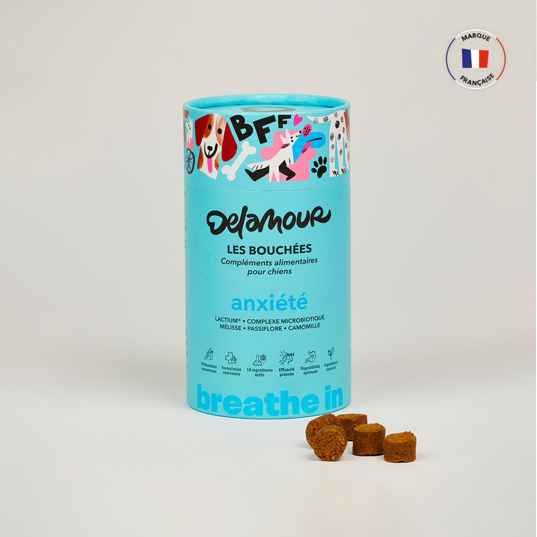 Les Bouchées - Anxiété