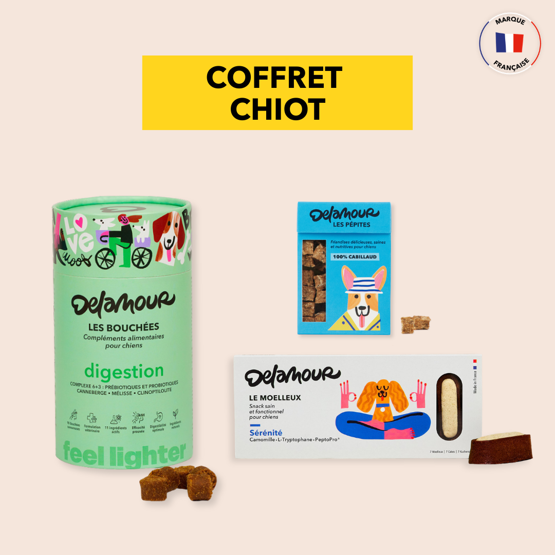 Coffret Chiot