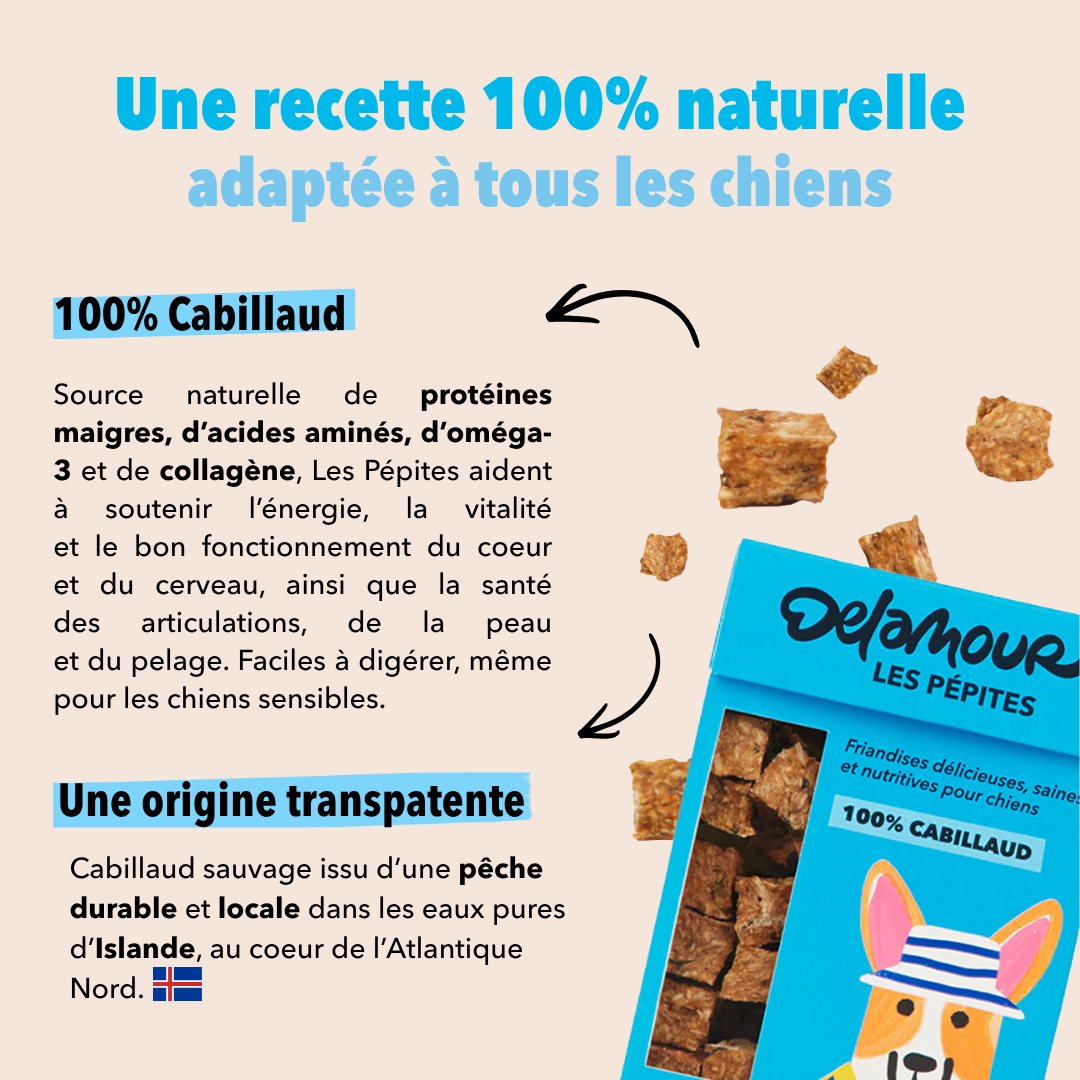 Coffret Poisson - Thon, Saumon, Cabillaud