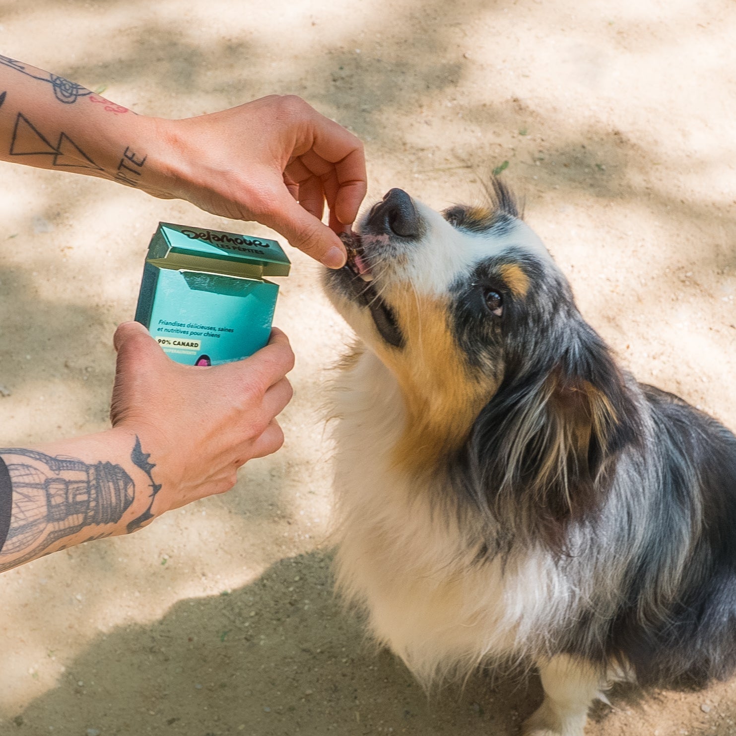 Les Pépites - Canard