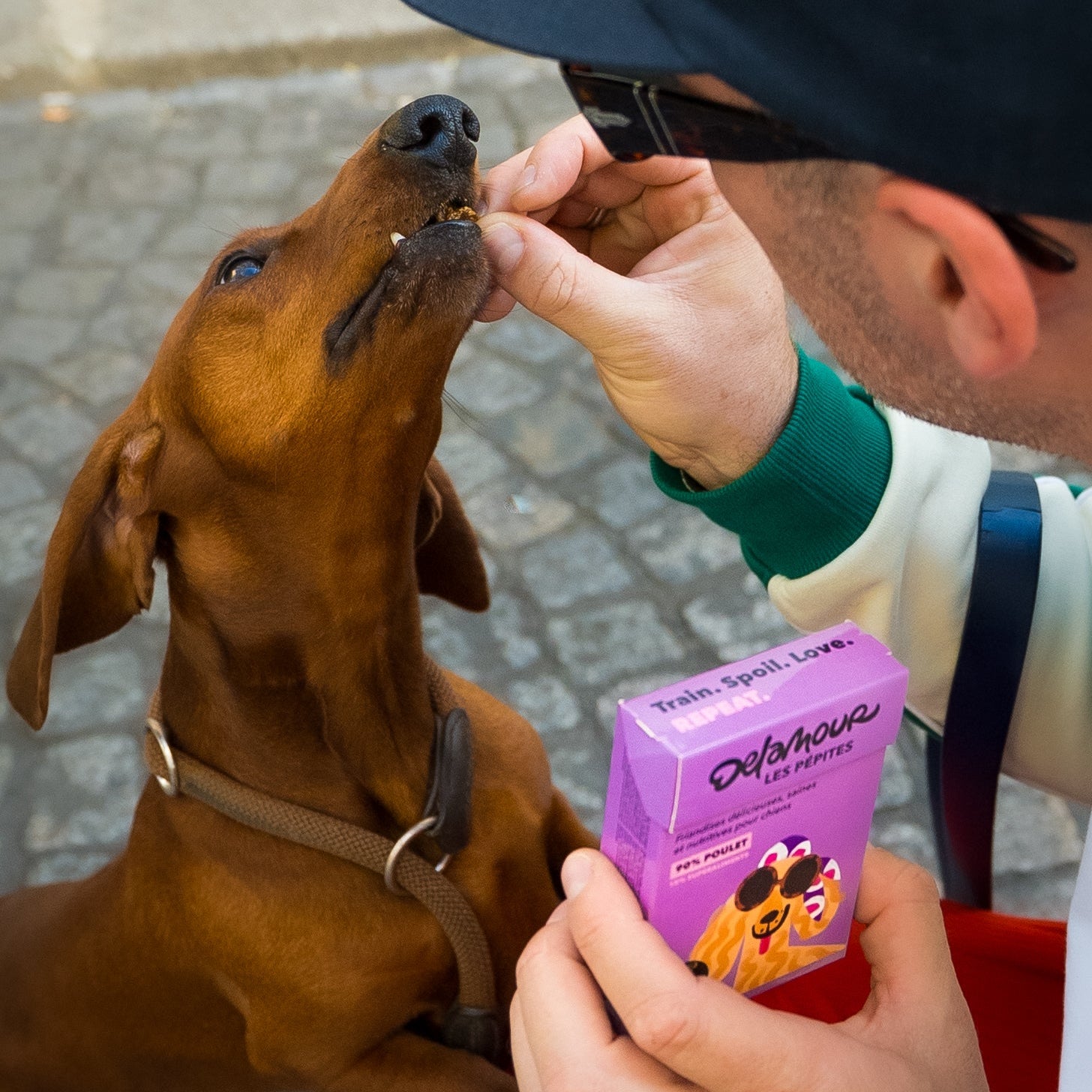 Les Pépites - Poulet