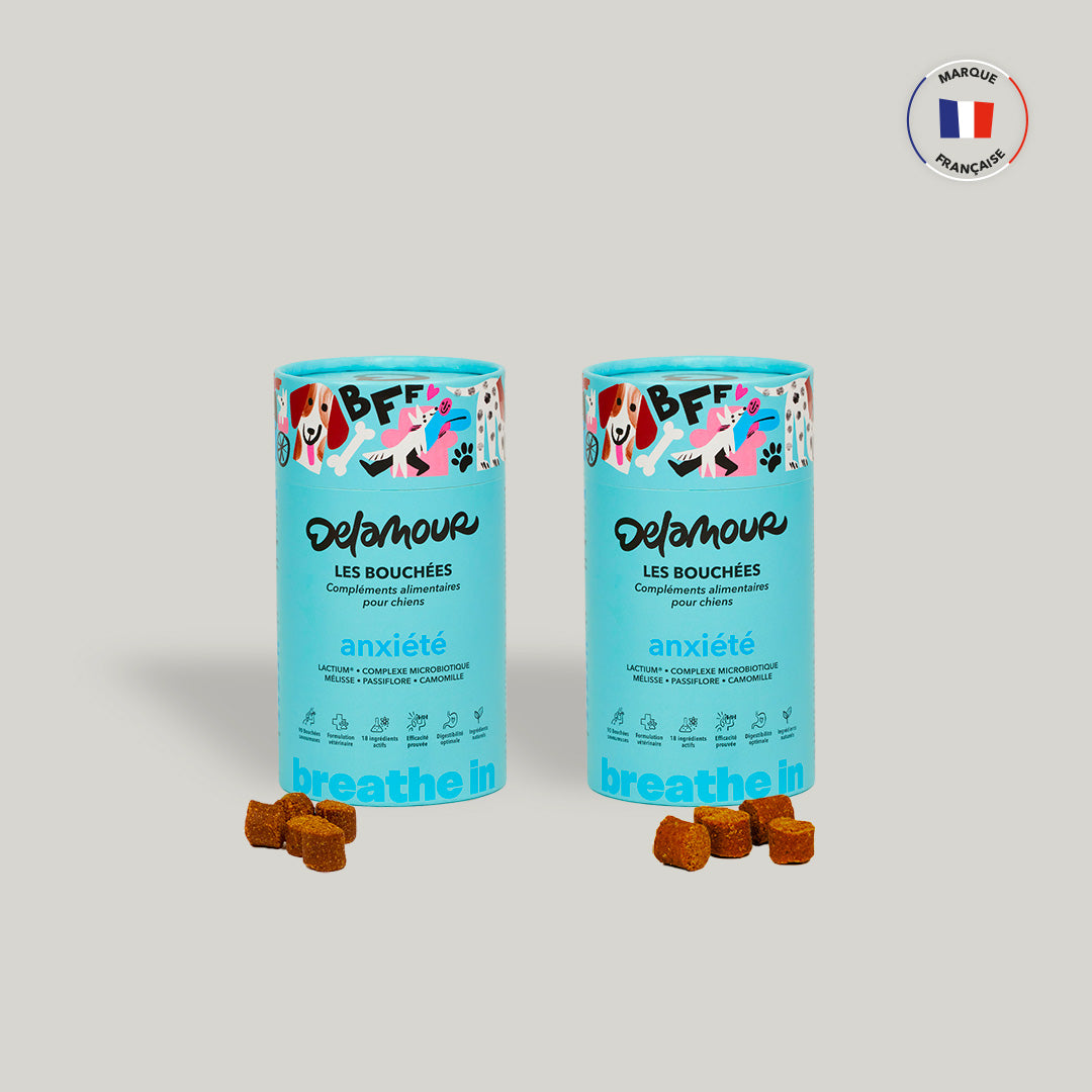 Les Bouchées - Anxiété