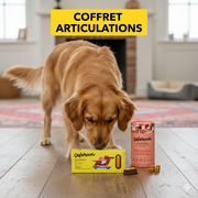 Coffret Articulations