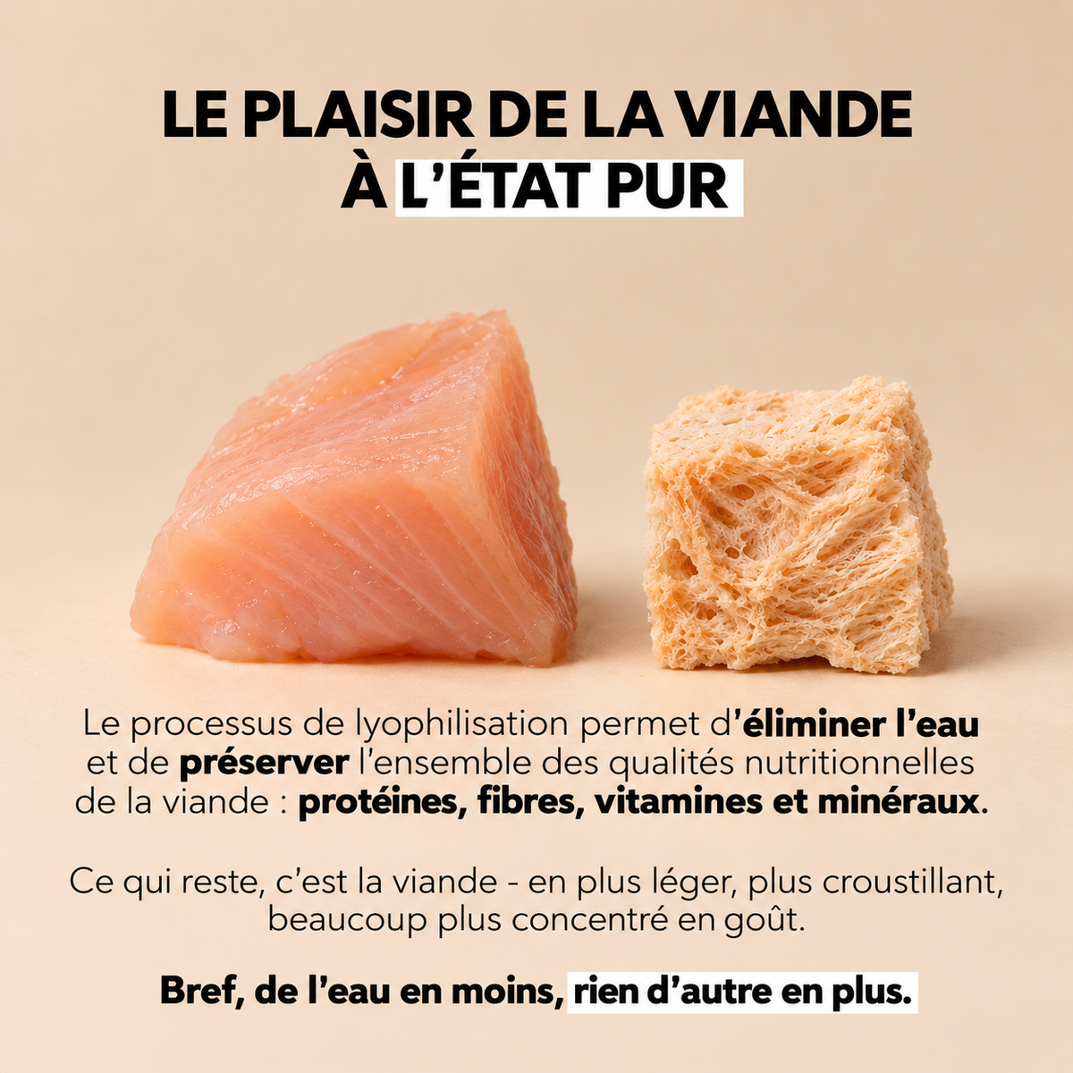 Les Lyophilisées - Coffret découverte