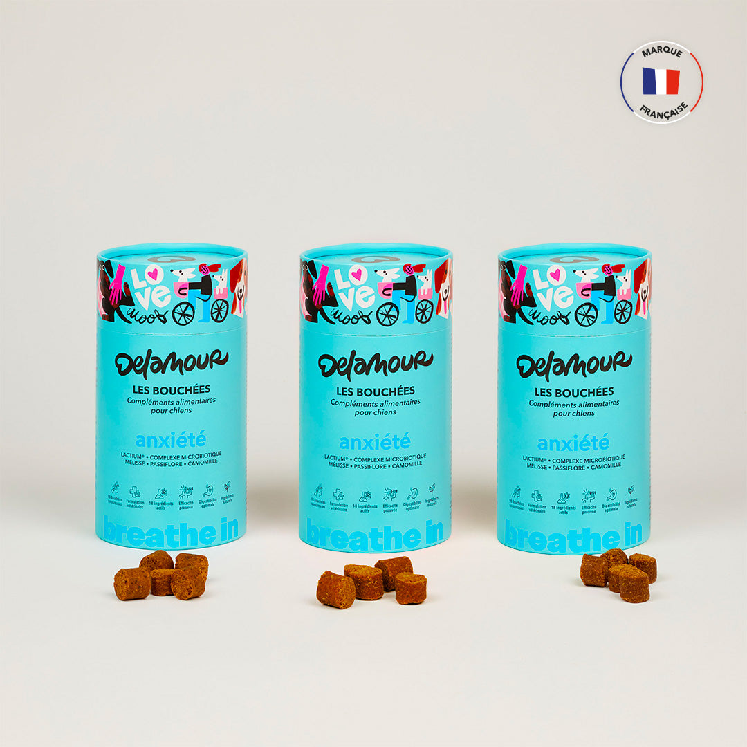 Les Bouchées - Anxiété