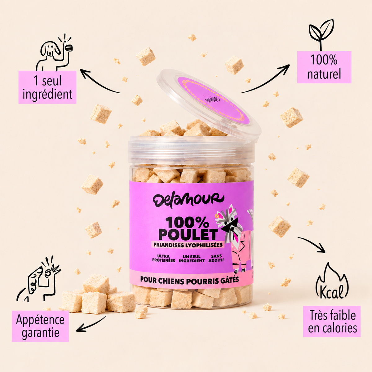 Coffret Poulet