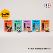 Pack Pépites Mix - 100 boîtes