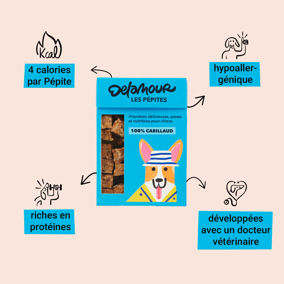 Les Pépites - Canard