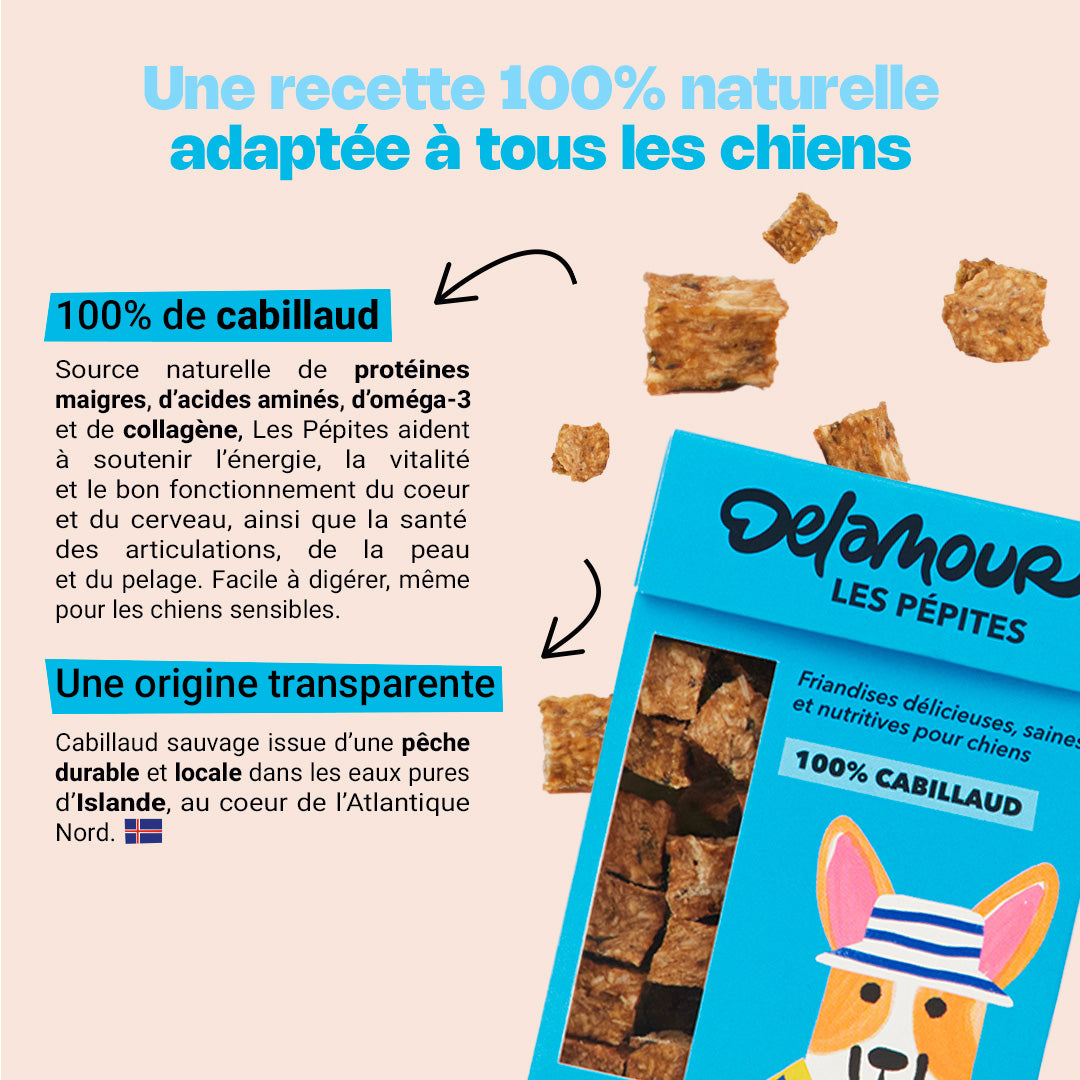 Les Pépites - Canard