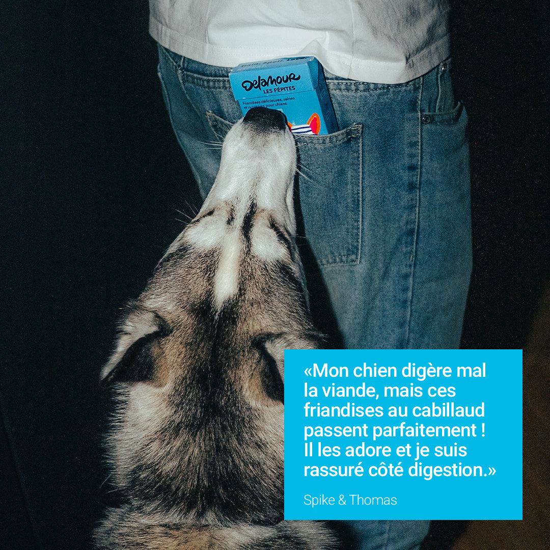 Les Pépites - Canard