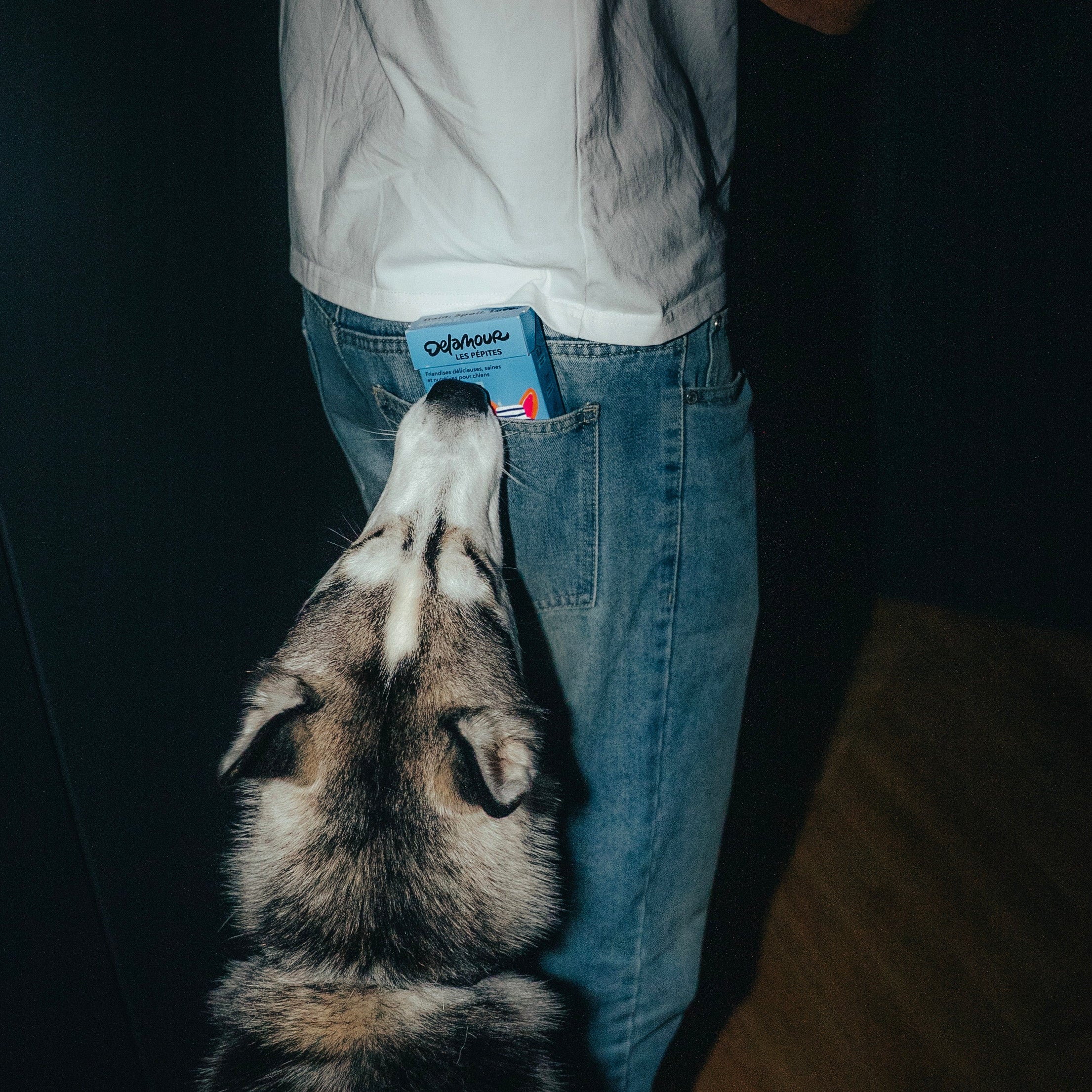 Les Pépites - Canard