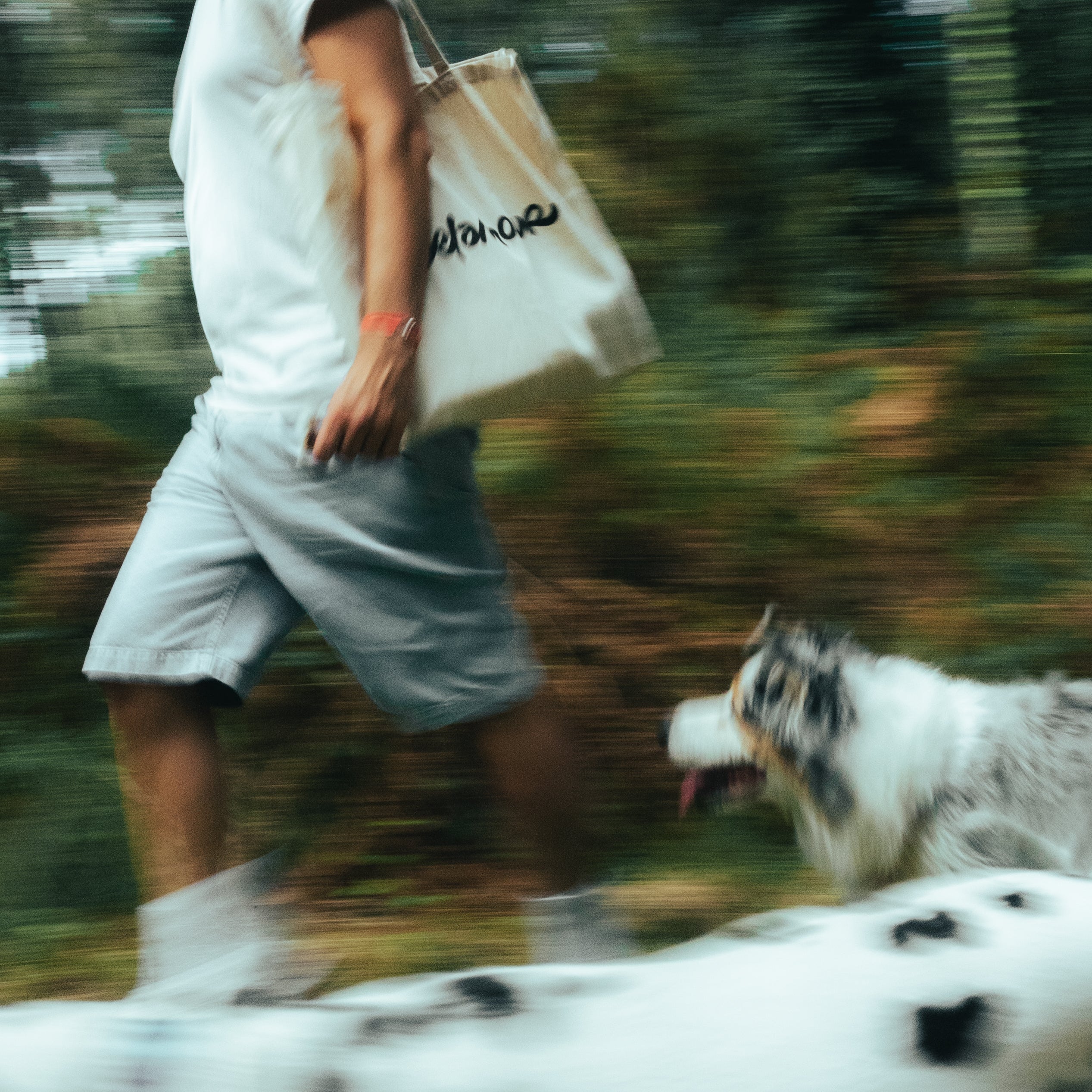 Le Totebag - Beagles of Burgundy
