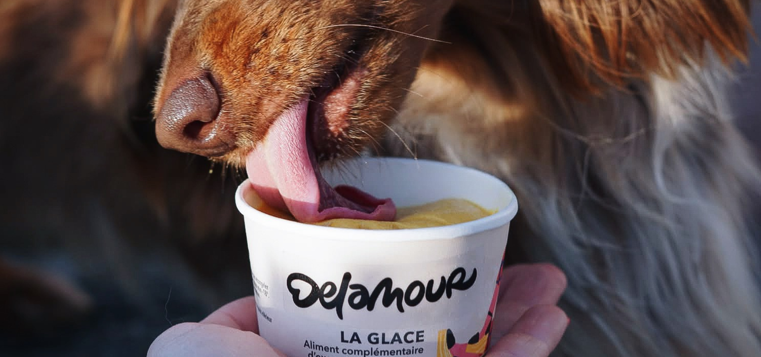 Delamour