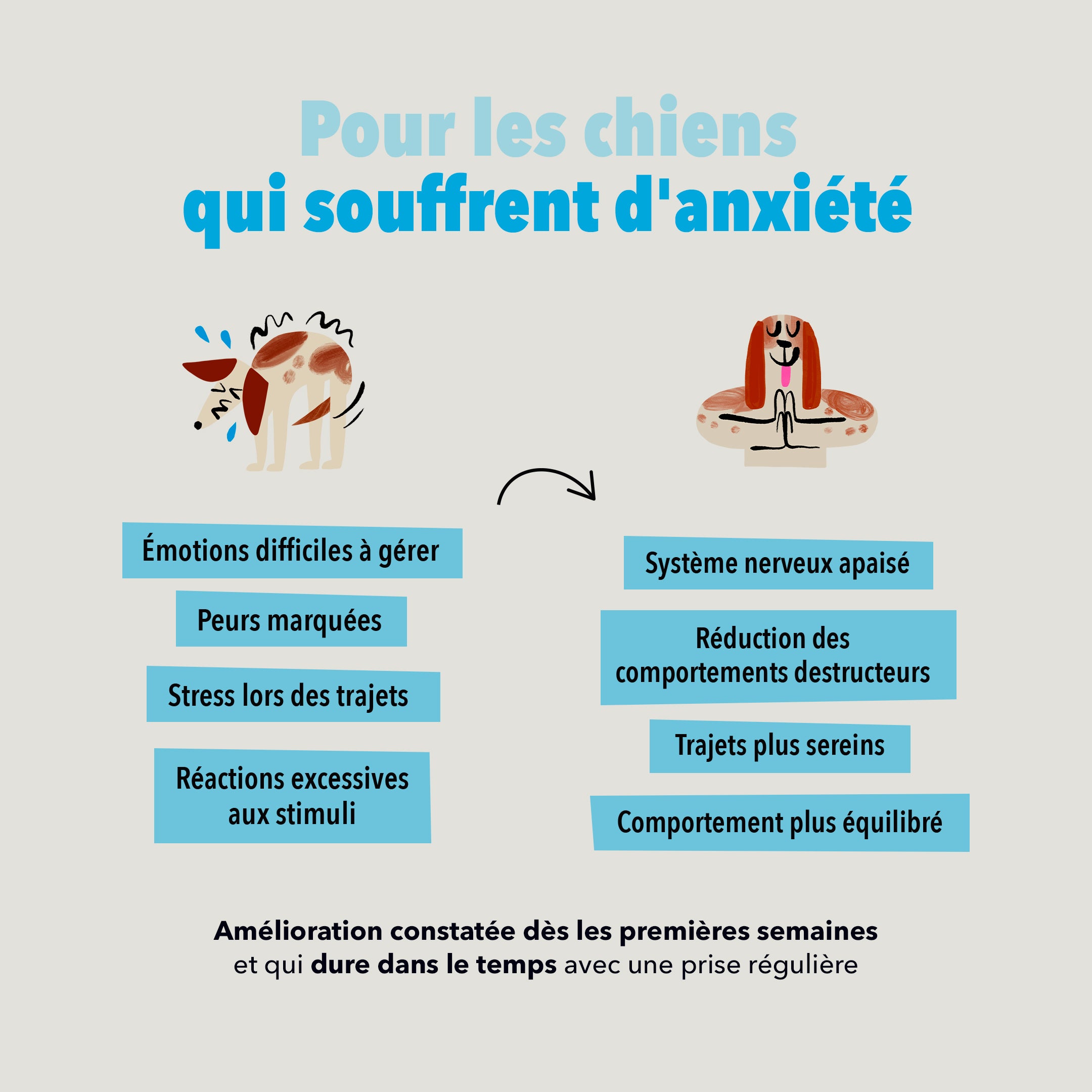 Les Bouchées - Anxiété