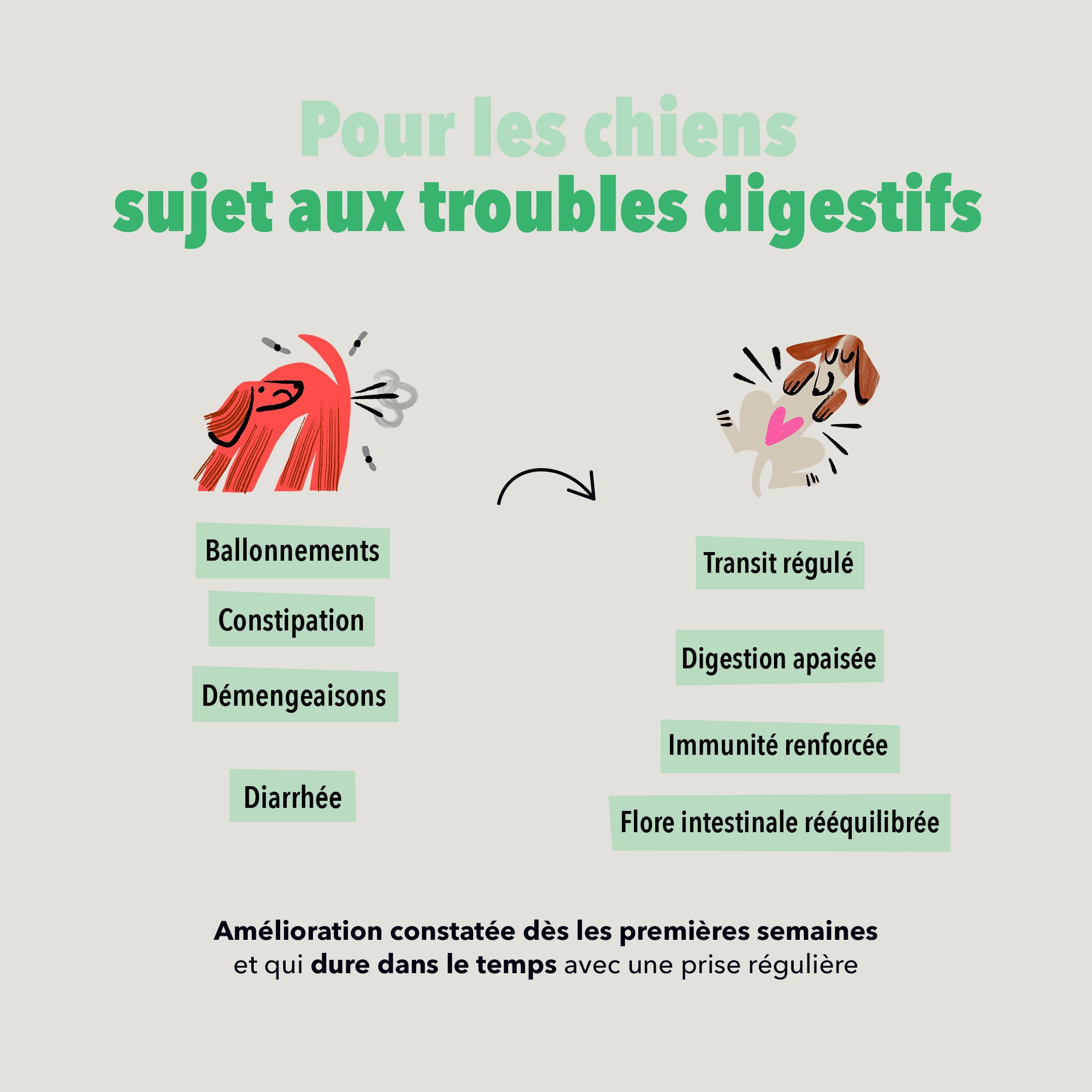 Les Bouchées - Digestion
