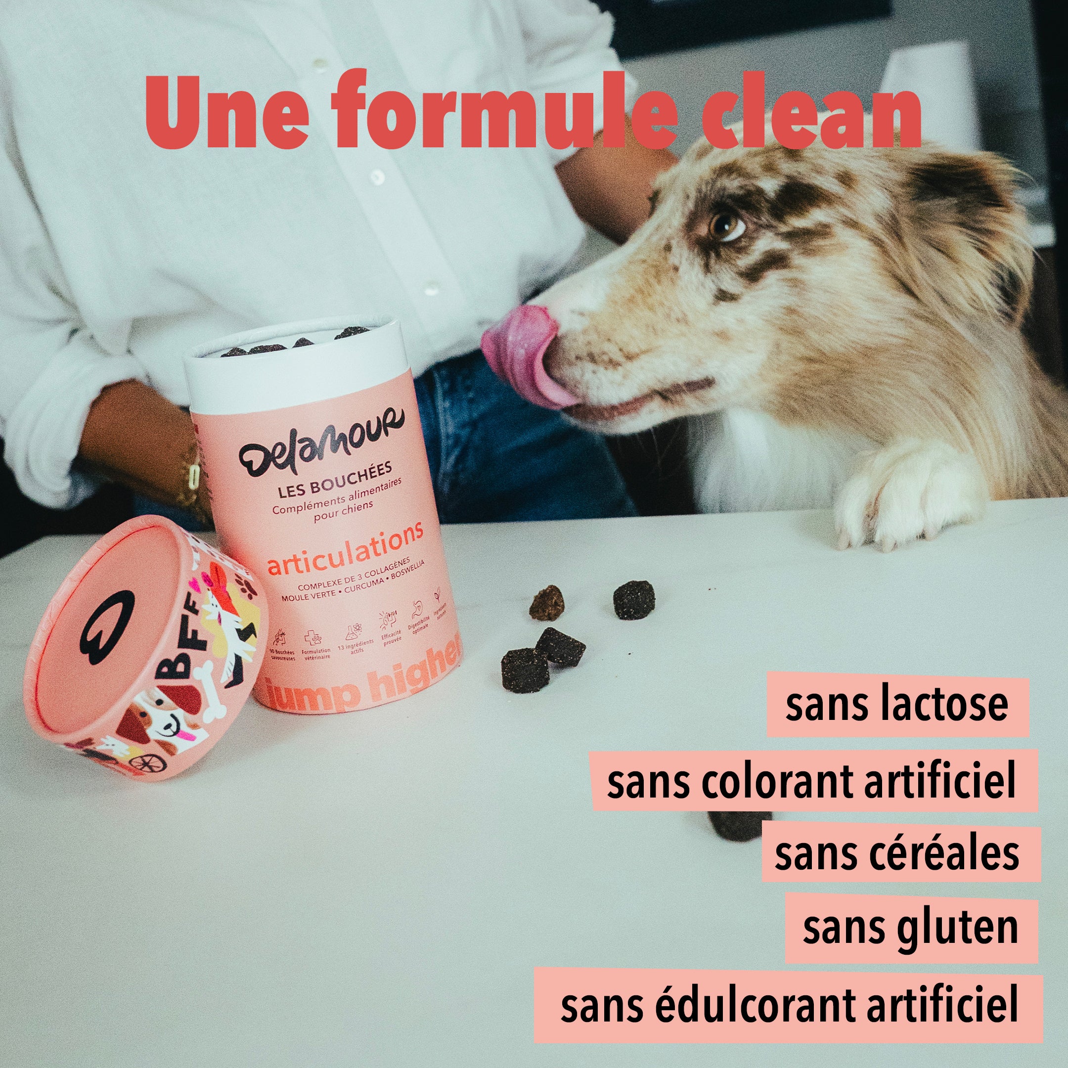 Les Bouchées - Articulations
