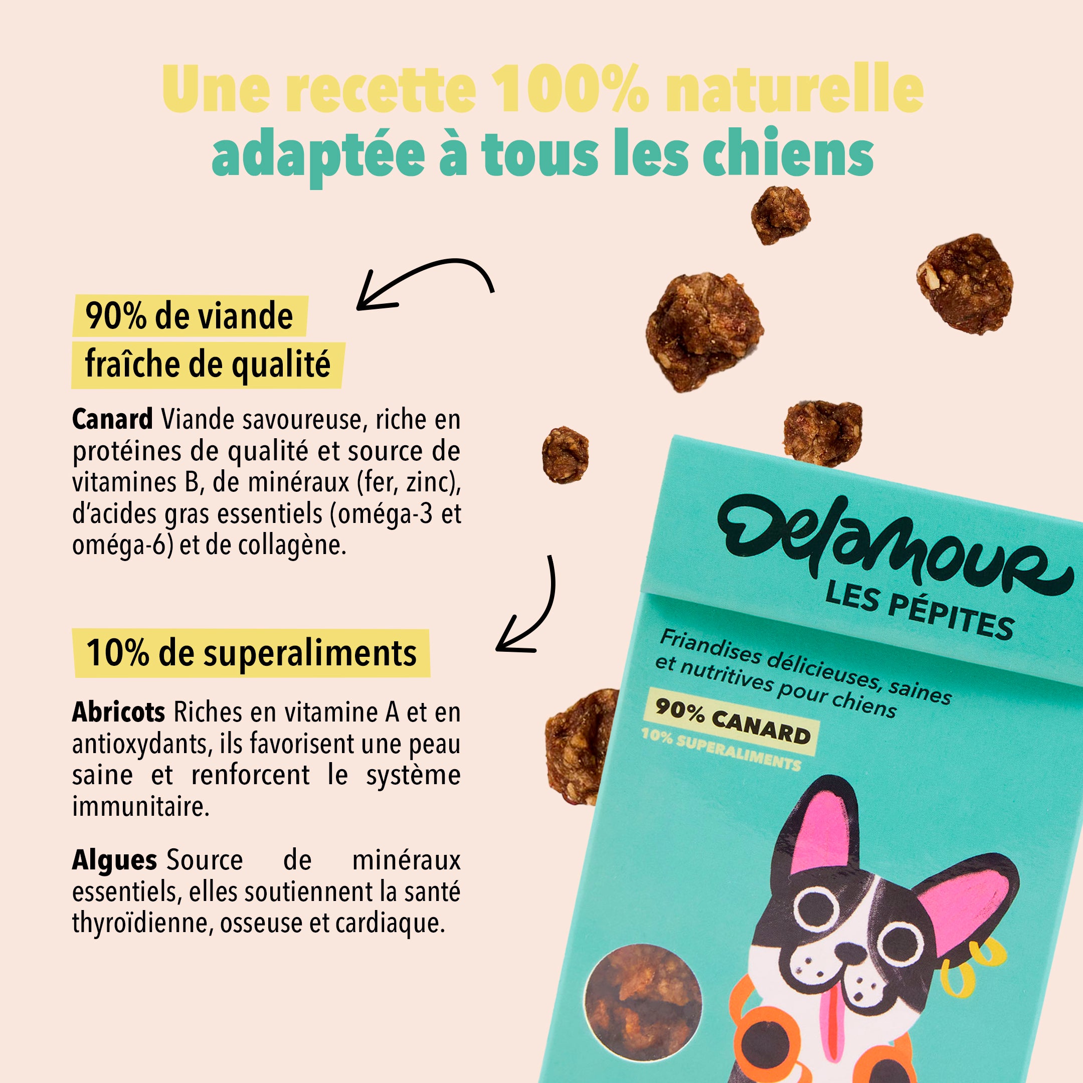 Les Pépites - La Collection, offre découverte