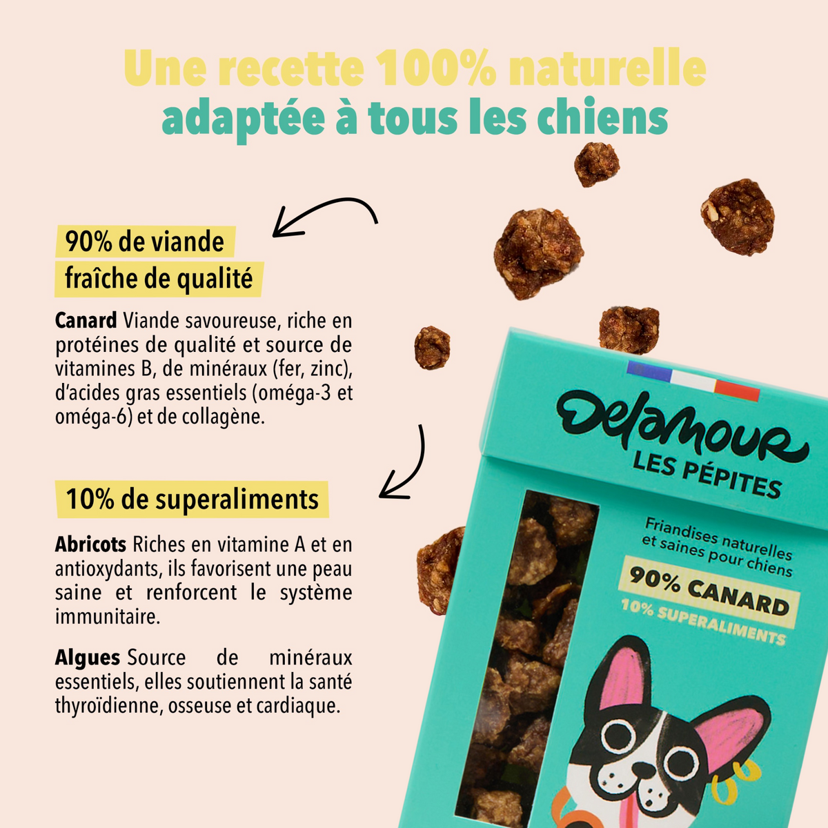 Coffret Canard