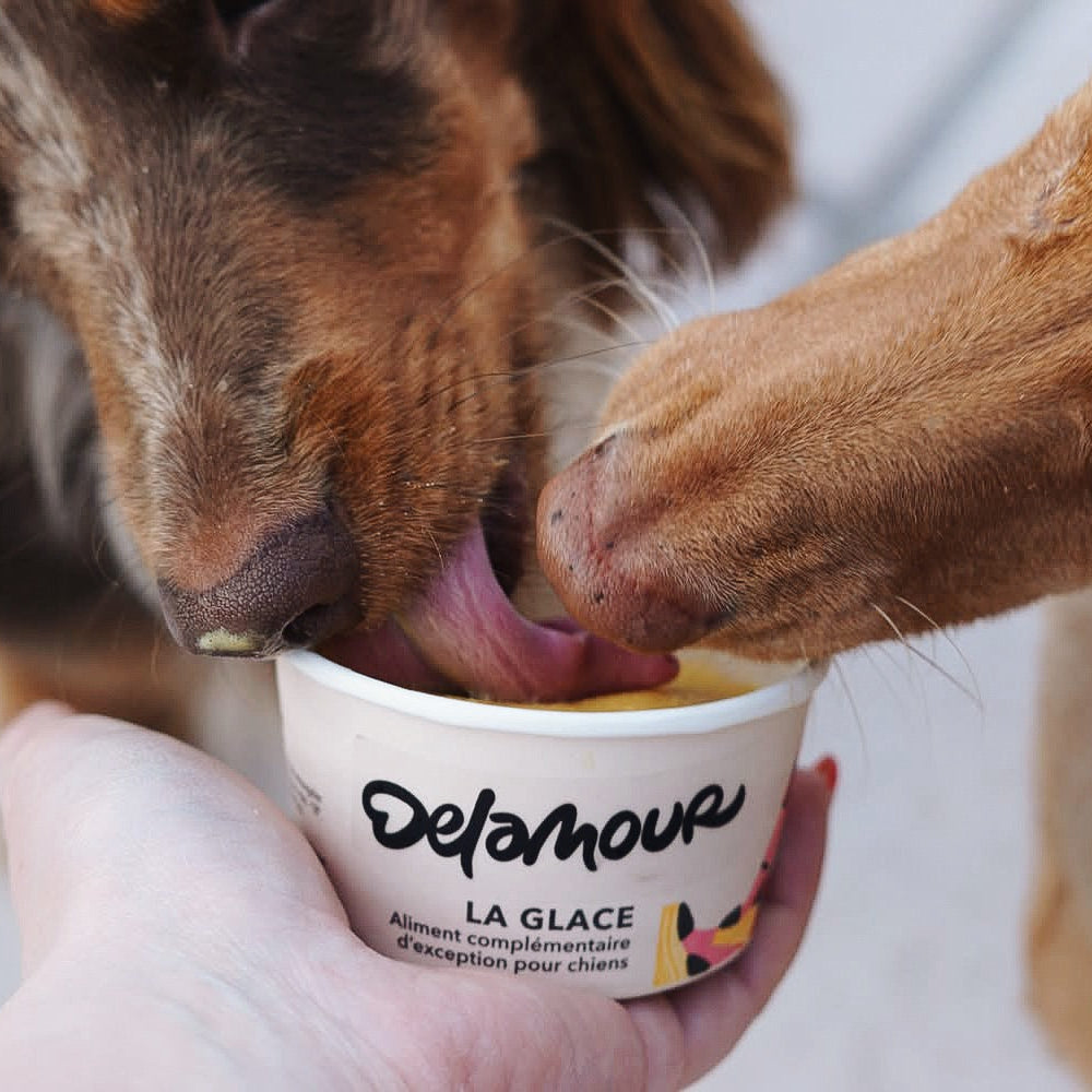 La Glace - La Vitaminée