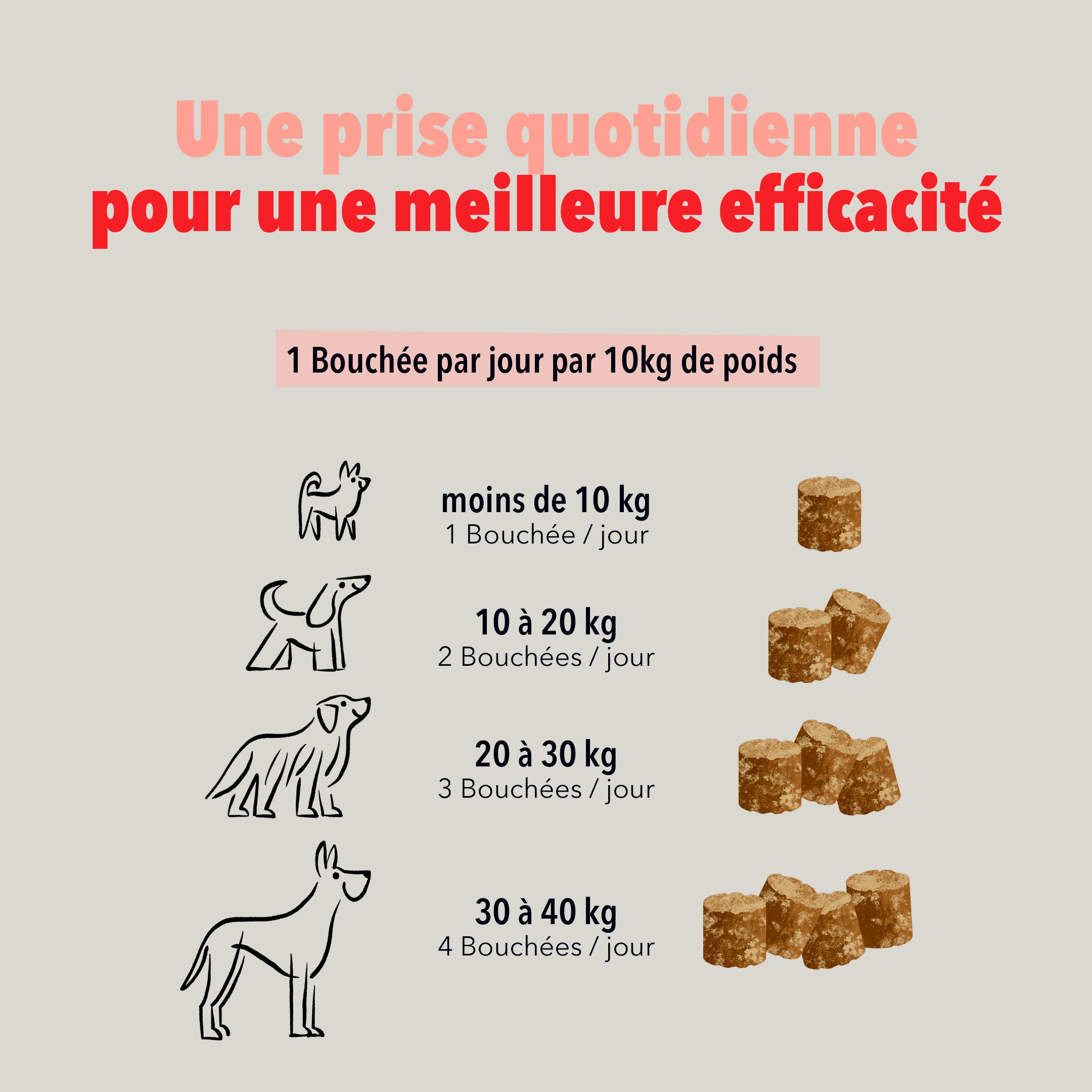 Les Bouchées - Articulations